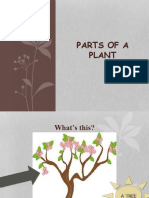 Parts of a plant