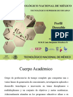 Cuerpos Academicos19