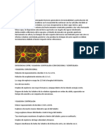 Estructura de Costos para Voladura Controlada