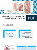 Chapter 9: Nutrition & The Human Digestive System: 9.3 Absorption 9.4 Assimilation