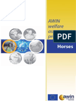 A Win Protocol Horses