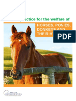 horses-welfare-selection