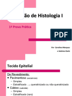 Revisão de Histologia I - 1a Prova