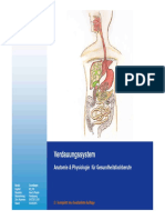 02 03 10 Anatomie Verdauungssystem