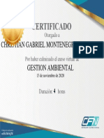 GESTION AMBIENTAL - CERTIFICADO Gestión Ambiental