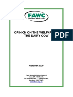 FAWC_opinion_on_dairy_cow_welfare
