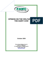 FAWC Opinion On Dairy Cow Welfare