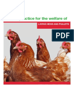 Code of Practice Welfare of Laying Hens Pullets