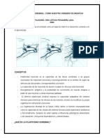 Plasticidad Cerebral