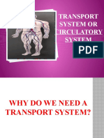 Circulatory System Plan