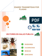 Enfermedades Transmitidas Por Plagas