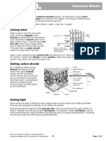 9B Summary Sheets