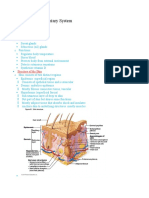 Anatomy Chapter 5