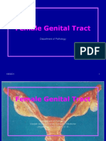 Female Gentract Lecture