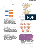 Anatomia e funções do pâncreas