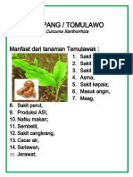 Tanaman Obat 2