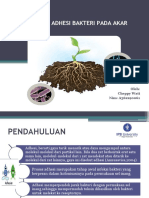 Tugas Praktikum Cepi Mengukur Adhesi Pada Akar