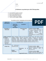 Guía de Desarrollo de Planes de Cuidados (2)