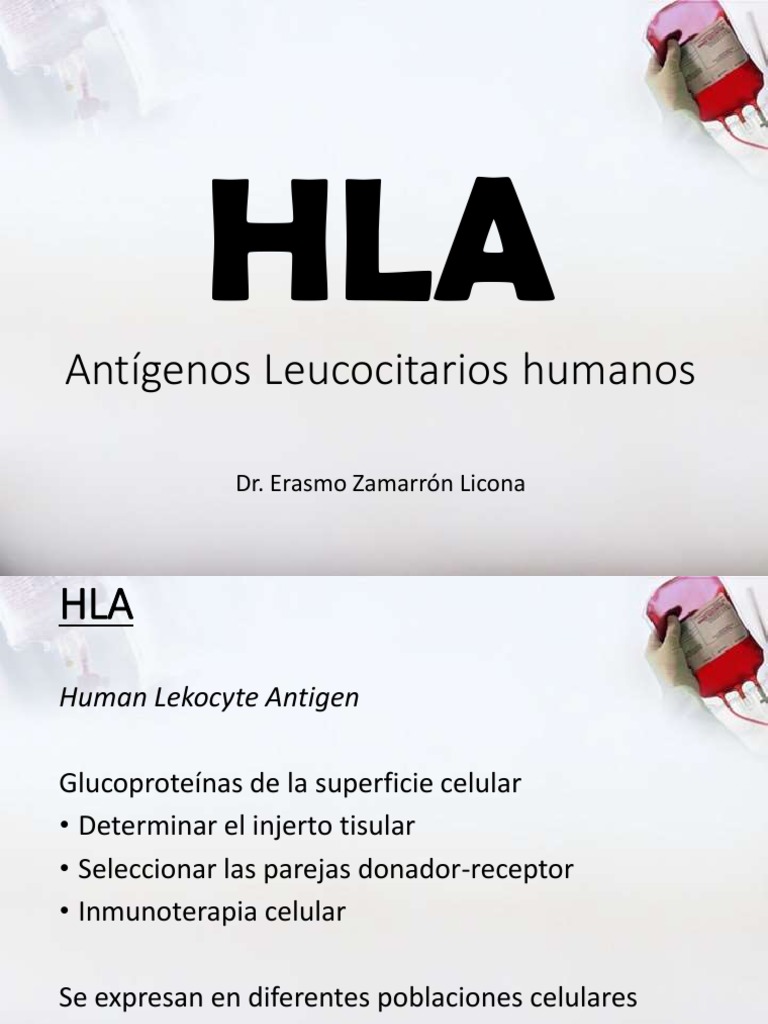 Los antígenos leucocitarios humanos (HLA) sus funciones, tipos y