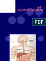 SISTEM PENCERNAAN 1 Edit