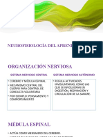 Neurofisiología Del Aprendizaje