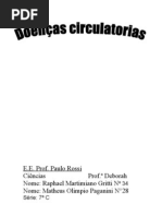 Doenças Circulatorias