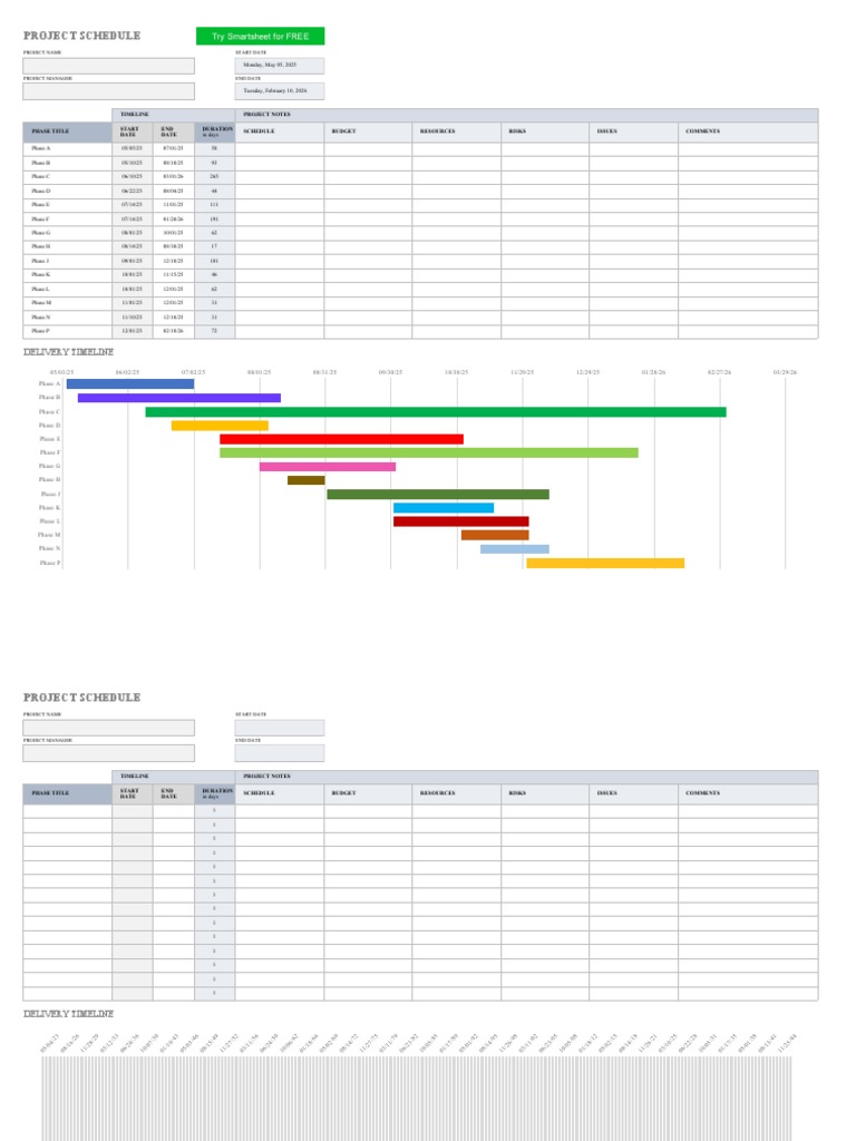 IC Project Schedule Template 10689 | PDF | Computing | Business