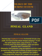 PINEAL