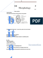 Morphology: Locomotion