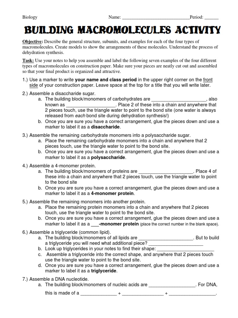 Building Macromolecules Activity Guide | PDF | Macromolecules | Polymers