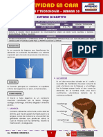 SEMANA 30 - SISTEMA DIGESTIVO (2do CIENCIA Y TECNOLOGÍA)