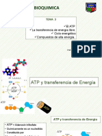 Bioq Tema 3 - 20202 ATP y Transferencia de Energia
