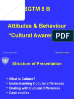 05 B Cultural Awareness
