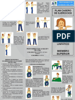 Plan Casero de Ejercicio Linfedema MMSS