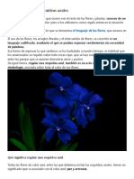 Orquídeas Azules