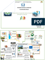 Principales Formas de Propiedad Colectiva y de Gestión