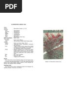 Download bayam merah by Norish Shofi SN49519844 doc pdf