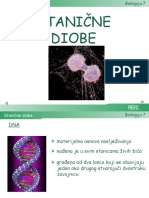 08 Stanicne Diobe