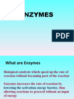ENZYME-1 Irfan Raza