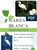 expo garza