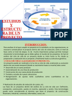 Ciclo de Vida, Etapas, Estudios y Estructura de Un Proyecto