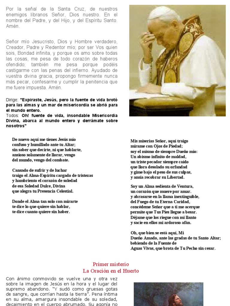 Reflexiones sobre la Pasión de Cristo | PDF | Cristo (título) | eucaristía