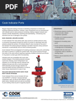 CCO Indicator Port Prod. Lit. - En US - 030819