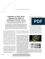 Regulation of Polar Auxin Transport by Atpin1 In: Arabidopsis Vascular Tissue