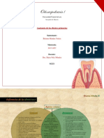 Anatomía Dental Temporal