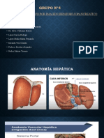 Nuevo Dim - Grupo N°4 Hepatobiliopancreatico