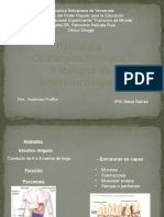 Presentación2 Patologia B y M de Intestino Delgado