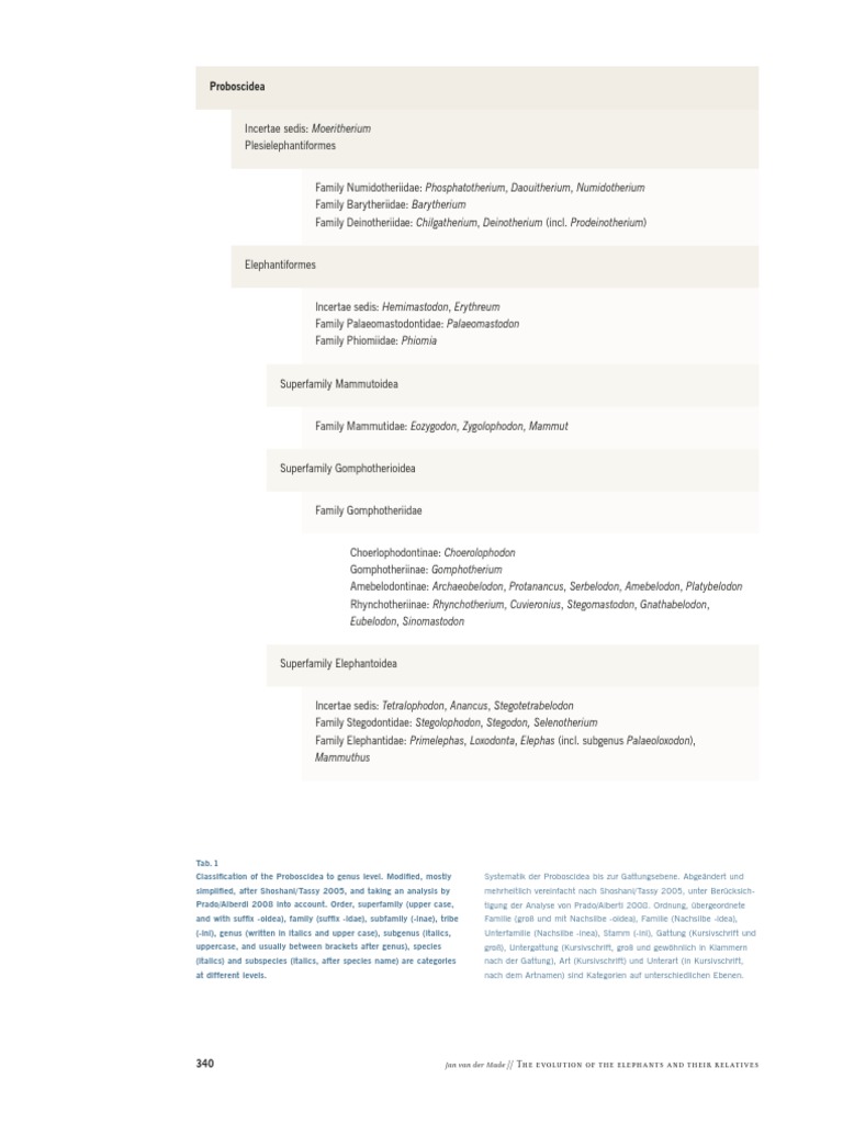 210 VanderMade2010 EvolutionProboscidea ExpoNeumarkNord | PDF