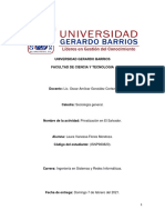 Privatización en El Salvador Laura Flores