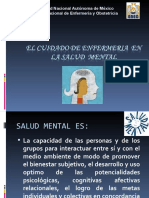 Enfermeria Salud Mental